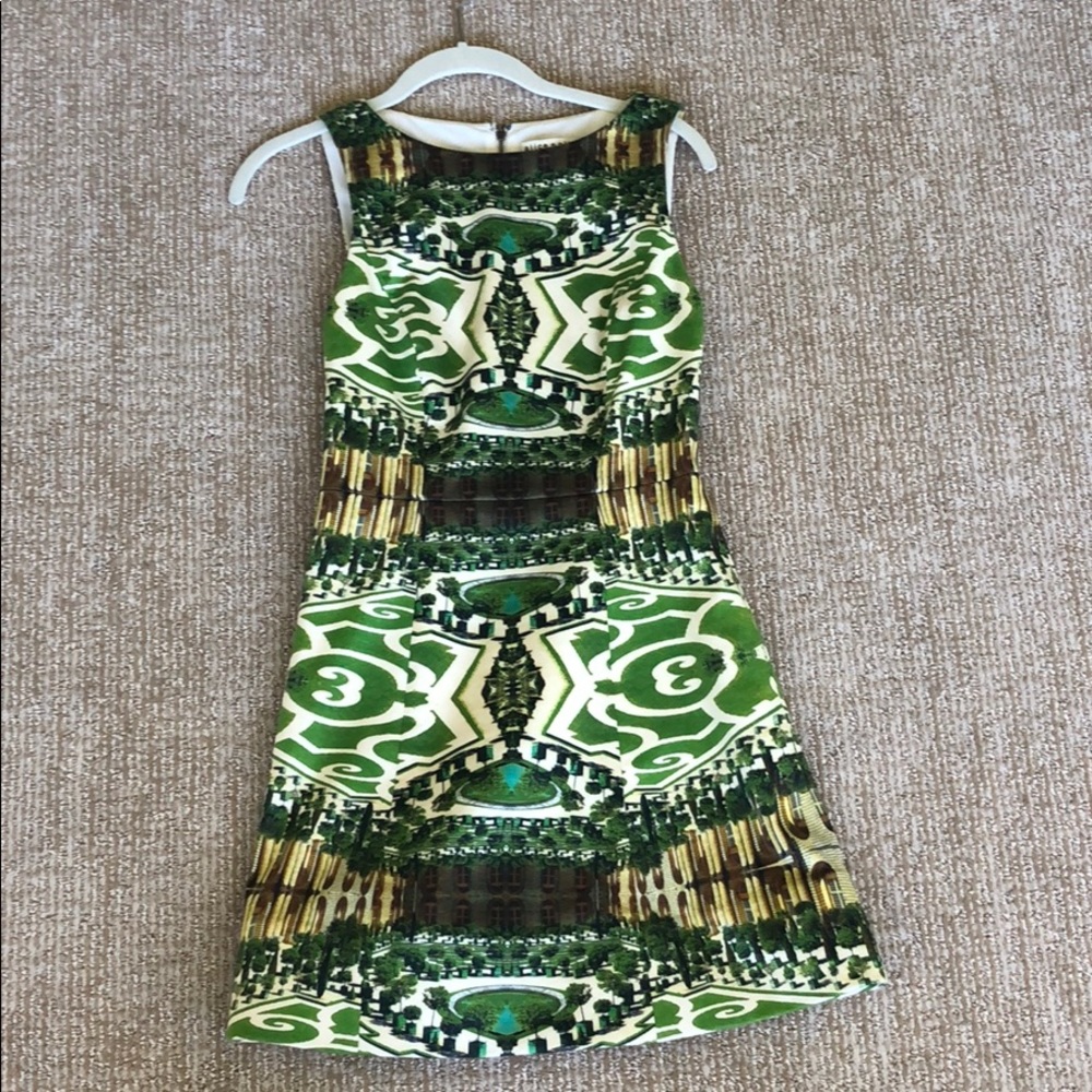 Alice and Olivia Carrie Printed boat neck dress